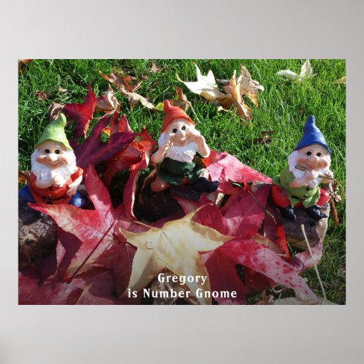 Gnomen van de tuin u het Aantal Gnome toevoegen de Poster (Voorkant)