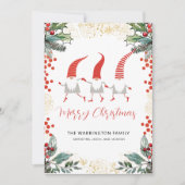 Gnomes Merry Kerstmis (Voorkant)