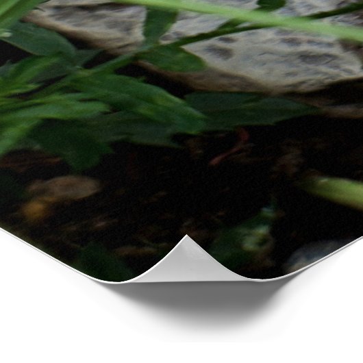 Gnoom in de tuin poster (Hoek)