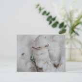 Gnoom in sneeuw. briefkaart (Staand voorkant)