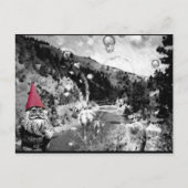 Gnoom op de Roam Post Card Briefkaart (Voorkant)