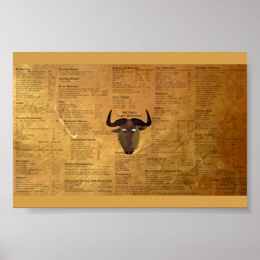 GNU Emacs-vallei Poster (Voorkant)