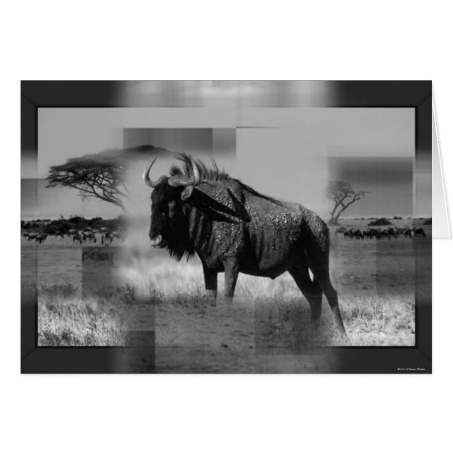 Gnu Kaart (Voorkant Horizontaal)