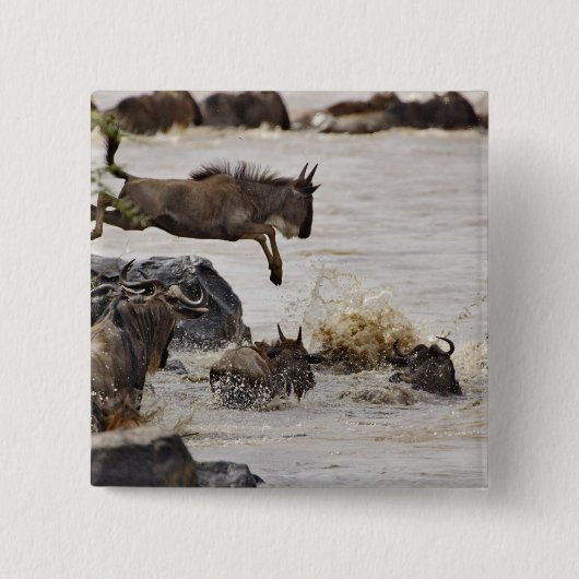 Gnu springt in de Mara-rivier Vierkante Button 5,1 Cm (Voorkant)