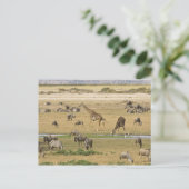 Gnu's, zebra's en giraffen briefkaart (Staand voorkant)