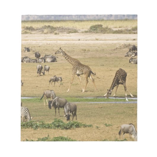 Gnu's, zebra's en giraffen notitieblok (Voorkant)