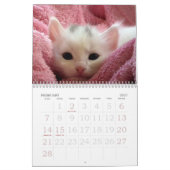 Go Cute ~ Go Kittens 2016-agenda Kalender (Feb 2027)