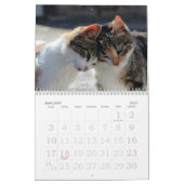 Go Cute ~ Go Kittens 2016-agenda Kalender (Jan 2027)