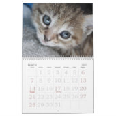 Go Cute ~ Go Kittens 2016-agenda Kalender (Mar 2027)