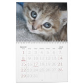Go Cute ~ Go Kittens 2016-agenda Kalender (Mar 2026)