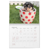 Go Cute ~ Go Puppy 2016 Calendar Kalender (Feb 2027)