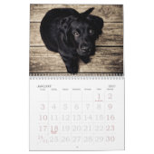 Go Cute ~ Go Puppy 2016 Calendar Kalender (Jan 2027)