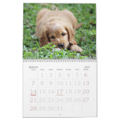 Go Cute ~ Go Puppy 2016 Calendar Kalender (Mar 2027)