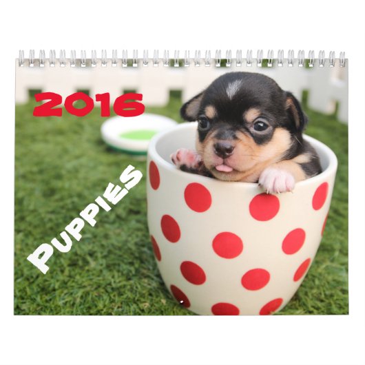 Go Cute ~ Go Puppy 2016 Calendar Kalender (Hoes)