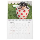 Go Cute ~ Go Puppy 2016 Calendar Kalender (Feb 2026)