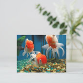 Go Fish Briefkaart (Staand voorkant)