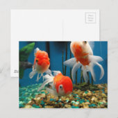 Go Fish Briefkaart (Voorkant / Achterkant)
