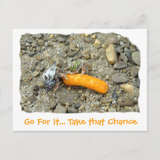 Go For It. Take that Chance Briefkaart