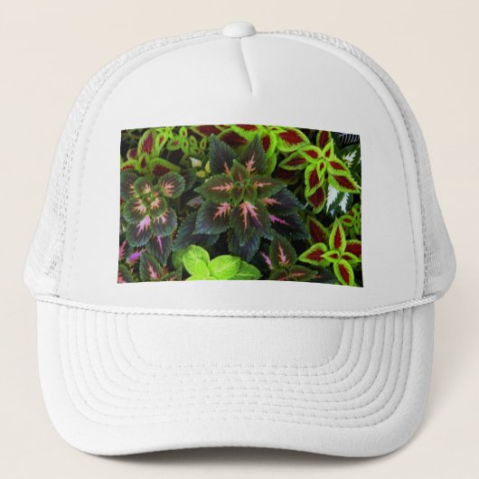 Go Green_ Trucker Pet (Voorkant)