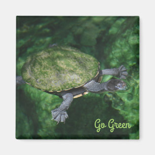 Go Groene schildpad magneet
