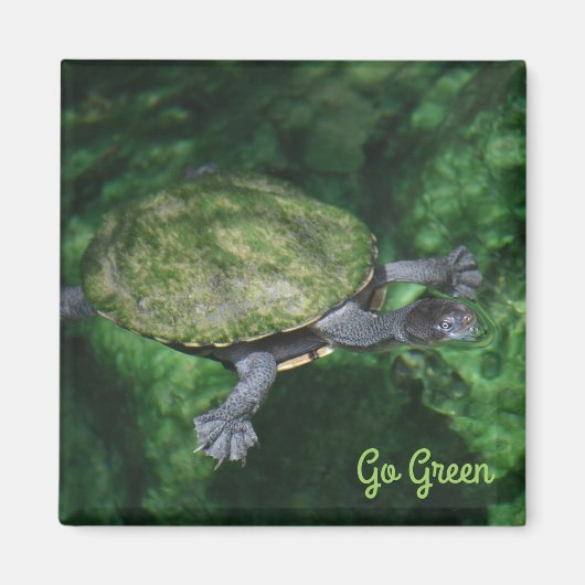 Go Groene schildpad magneet (Voorkant)