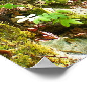 Go Hiking Poster (Hoek)