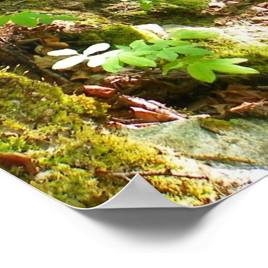 Go Hiking Poster (Hoek)