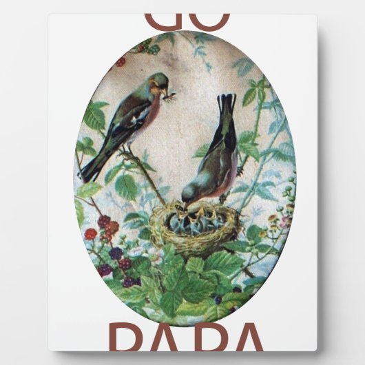 Go Papa Fotoplaat (Voorkant)