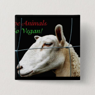 Go Vegan Vierkante Button 5,1 Cm