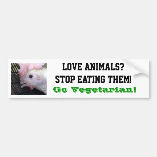 Go Vegetarian Hen Bumpersticker (Voorkant)