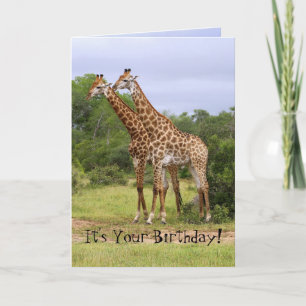 "Go Wild" Happy Birthday Giraffes Kaart