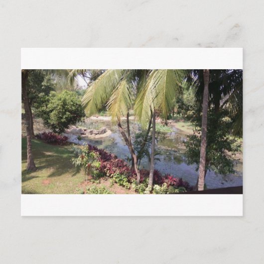Goa India Garden Briefkaart (Voorkant)