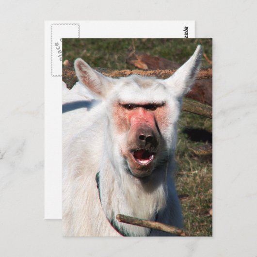 Goaboon Briefkaart (Voorkant / Achterkant)