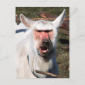 Goaboon Briefkaart (Voorkant)