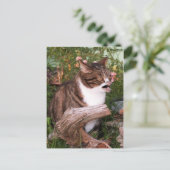 Goacat briefkaart (Staand voorkant)