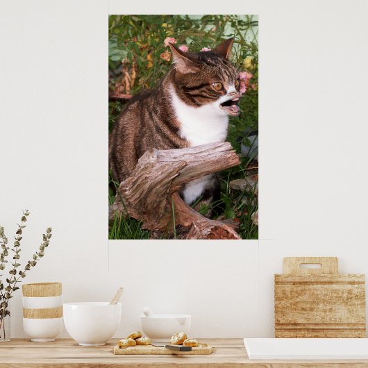 Goacat poster (Keuken)