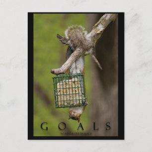 GOALS Inspirerend Funny Squirrel Briefkaarten