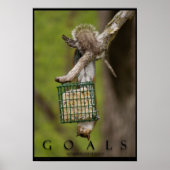 GOALS Inspirerend Funny Squirrel Poster Print (Voorkant)