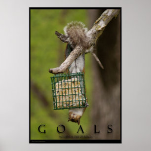 GOALS Inspirerend Funny Squirrel Poster Print
