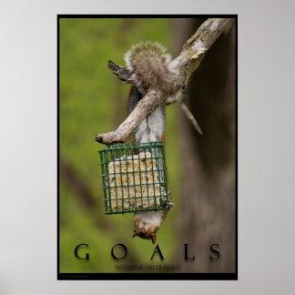 GOALS Inspirerend Funny Squirrel Poster Print