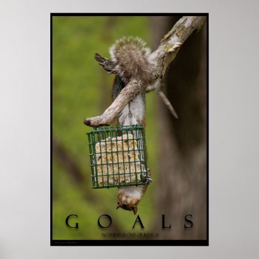 GOALS Inspirerend Funny Squirrel Poster Print (Voorkant)