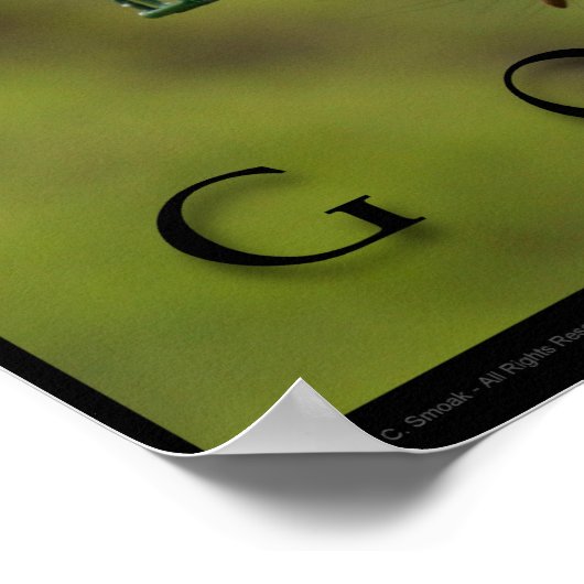 GOALS Inspirerend Funny Squirrel Poster Print (Hoek)