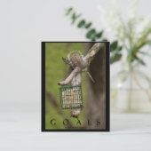 GOALS Inspirerend Grappige Eekhoorn Briefkaarten (Staand voorkant)