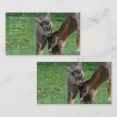 Goat Acres Visitekaartje (Voorkant / Achterkant)