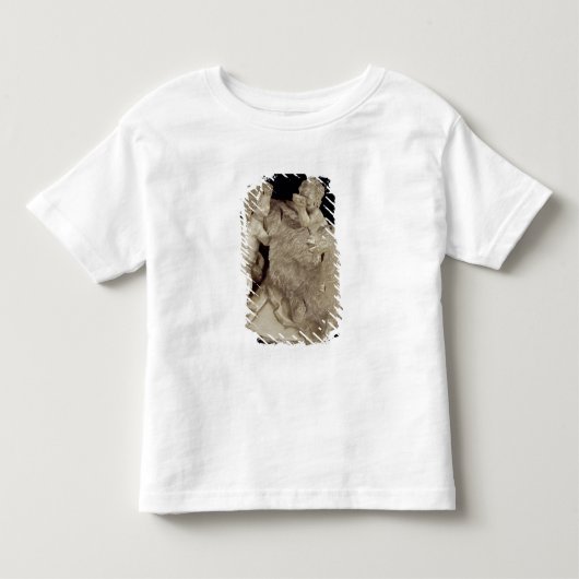 Goat Amalthea, c.1615 Kinder Shirts (Voorkant)
