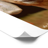 Goat Art Poster (Hoek)