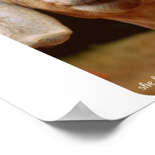 Goat Art Poster (Hoek)