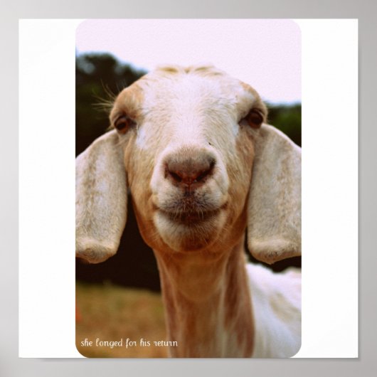Goat Art Poster (Voorkant)