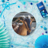 Goat Black Brown Horns Animal Foto Papieren Bordje (Feest)