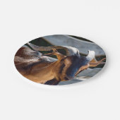 Goat Black Brown Horns Animal Foto Papieren Bordje (Gekanteld)